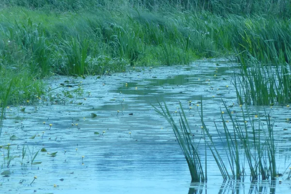 Rubrik_Wasser_Meere-Flussbild-nat-jg.JPG